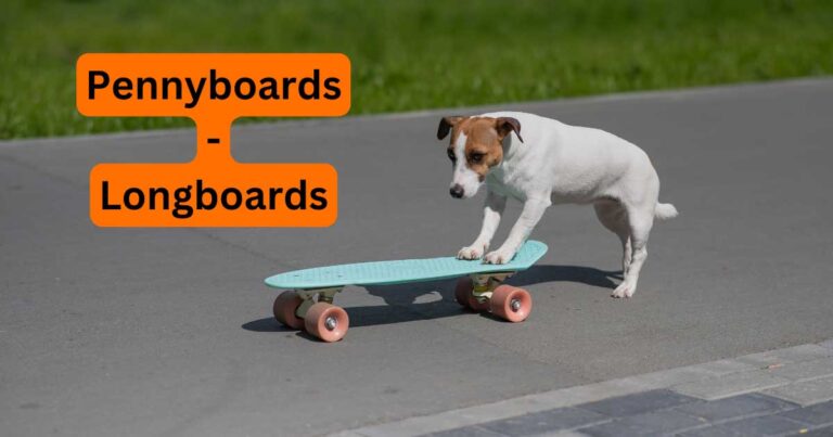 Read more about the article Pennyboards – Longboards
