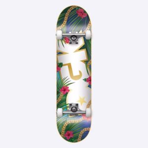 DGK Vacation Complete Skateboard – Multi